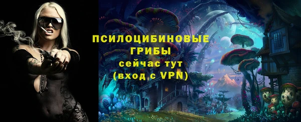 экстази Алексеевка