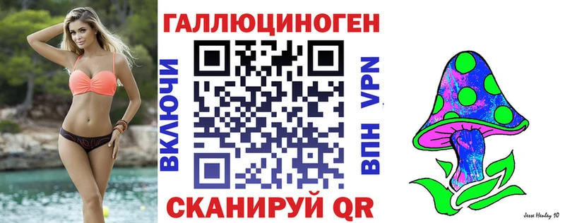 продажа наркотиков  Бирск  Галлюциногенные грибы Psilocybe 